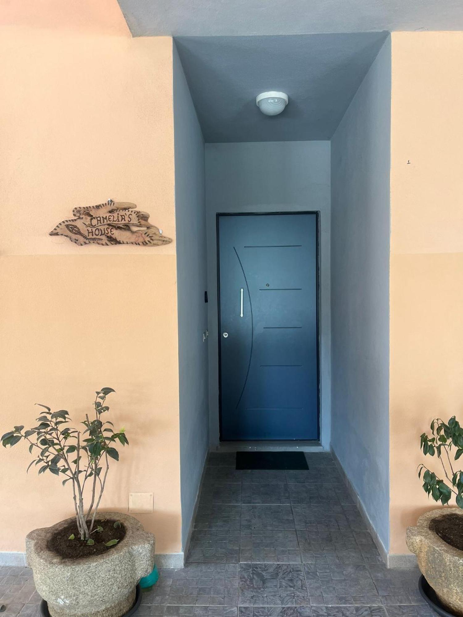 Camelia'S House Apartment ออลเบีย ภายนอก รูปภาพ